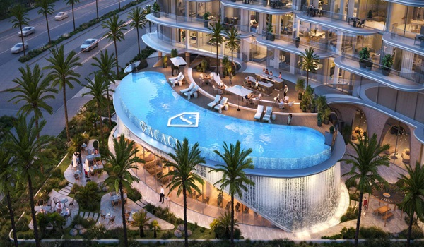 Featured Image of Acacia